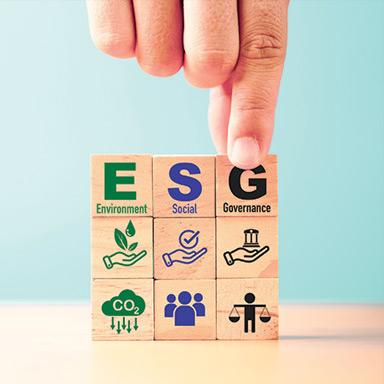 Understanding ESG—Greater Transparency, Better Prices and Better Decision Making